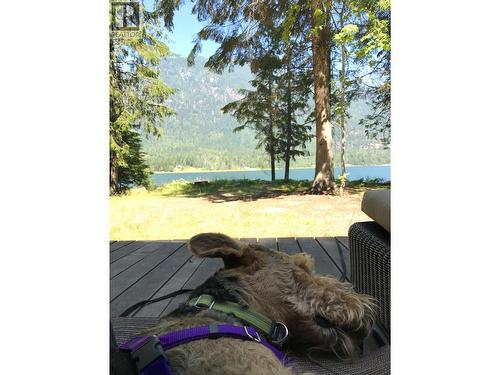 3848 Rock Island Road, Nakusp, BC - Outdoor With View