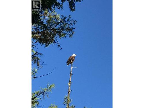 3848 Rock Island Road, Nakusp, BC - Outdoor With View