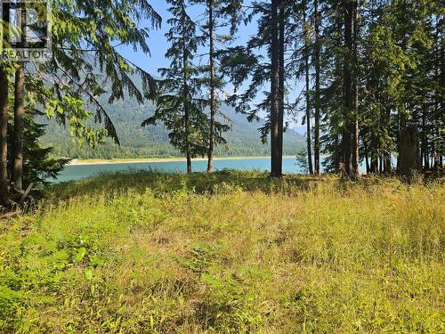 3848 Rock Island Road, Nakusp, BC - Outdoor With View
