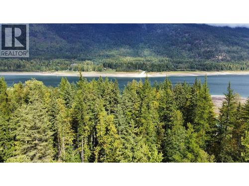 3848 Rock Island Road, Nakusp, BC - Outdoor With Body Of Water With View