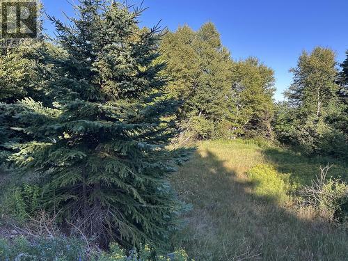 Parcels A & B Main Road, Victoria Cove, NL 