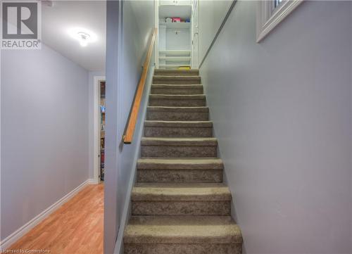 Staircase with baseboards and wood finished floors - 55 Ingleside Drive, Kitchener, ON - Indoor Photo Showing Other Room