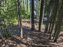 Lot 17 Balfour Crescent, Kaslo, BC 