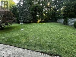 Back yard and wooded area - 