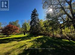 Back of home and wooded area - 