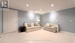 Basement Bonus room - 