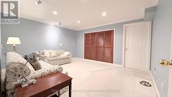 Basement Bonus room - 