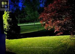 Backyard at night - 