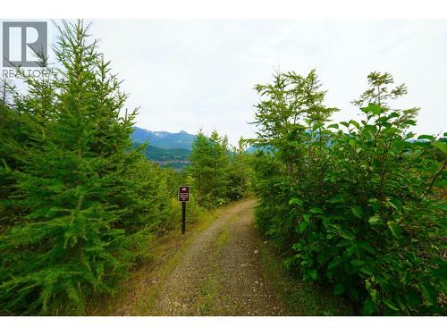 26 Birchgrove Bend, Kaslo, BC - Outdoor