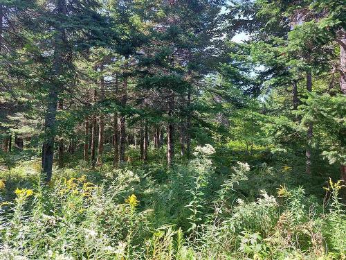 Lot 9 Hill Street, French Cove, NS 