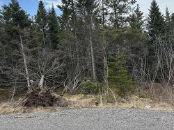 21-1 Mary Cecelia Ridge  St Andrew's, NS B0H 1P0