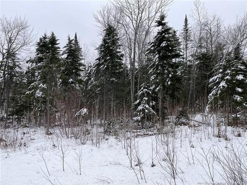 - Oldfield Rd, Bartibog, NB 