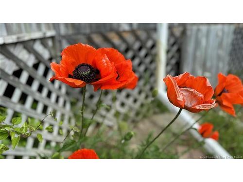 1384 Baisley Rd, Saint-Jacques, NB 