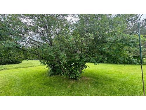 1384 Baisley Rd, Saint-Jacques, NB 