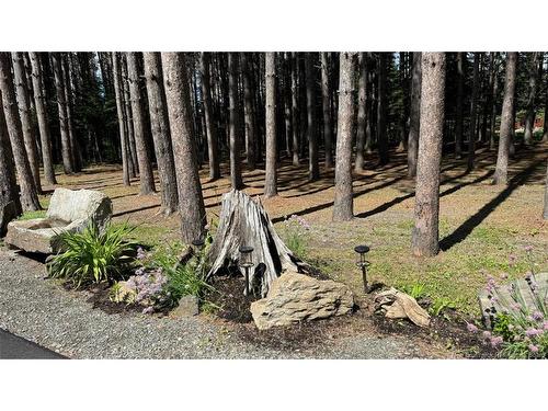 49 Chemin Du Rang 5+6, Saint-Quentin, NB 