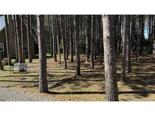 49 Chemin Du Rang 5+6, Saint-Quentin, NB 