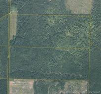 200 Acres Walker RD  South Tilley, NB E7H 5E4
