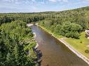 46 Davis Old Mill Rd, Dsl De Drummond/Dsl Of Drummond, NB 