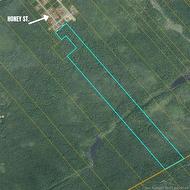 - Honey ST  Miramichi, NB E1N 3N6
