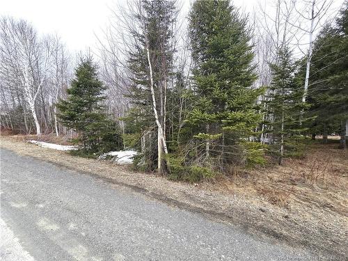 - 4E Ave, Clair, NB 
