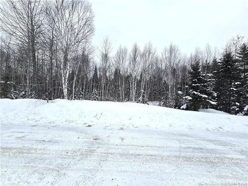 - 4E Ave, Clair, NB 
