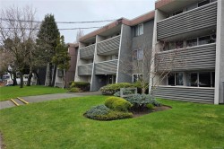 204-377 Dogwood St  Campbell River, BC V9W 2Y1