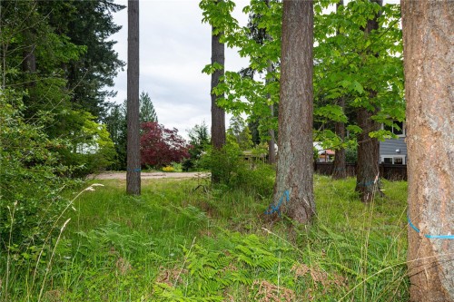 476 Old Petersen Rd, Campbell River, BC 