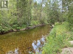 321 COPPER  N Avenue Unit# 21  Greenwood, BC V0H 1J0