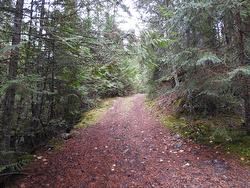 144 Acres South Fork Road  Cherryville, BC V0E 2G3