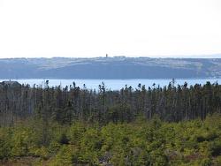 668 Old Broad Cove Road  Portugal Cove - St. Philips, NL A1M 2B6