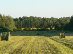 Terre/Terrain - 