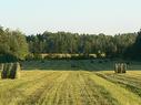 Land/Lot - 770 Route 111 O., Macamic, QC 