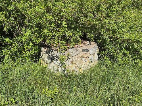 2013 Clementsvale Road, Bear River, NS 