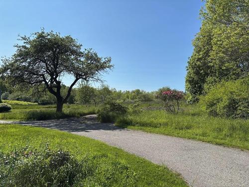 2013 Clementsvale Road, Bear River, NS 