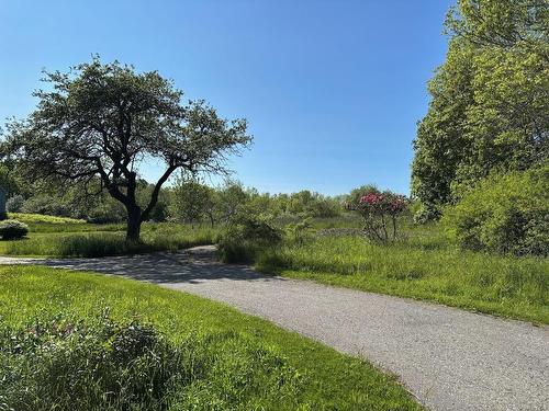 2013 Clementsvale Road, Bear River, NS 