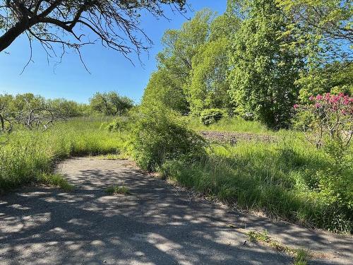 2013 Clementsvale Road, Bear River, NS 