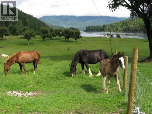 6302 Marsden Road, Nelson, BC - Outdoor With View