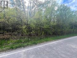 LOT 6 GREY ROAD 1  Georgian Bluffs, ON N0H 2T0