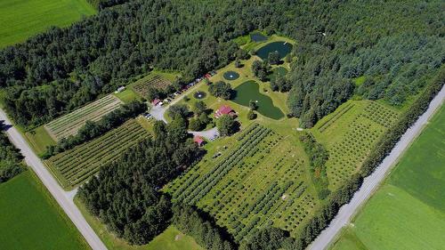 Photo aérienne - 110 1Er Rang, Saint-Romain, QC 