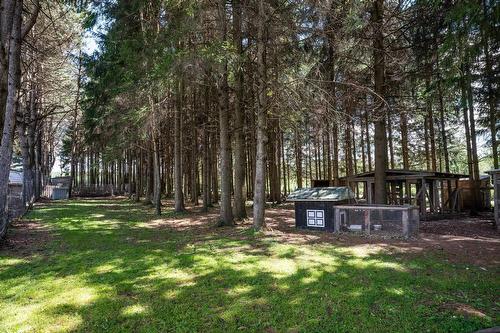 Terre/Terrain - 110 1Er Rang, Saint-Romain, QC 