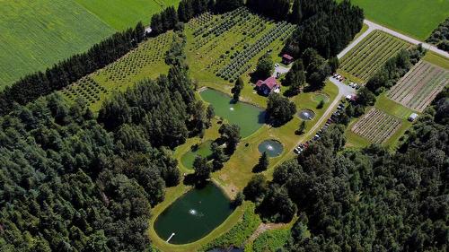 Photo aérienne - 110 1Er Rang, Saint-Romain, QC 