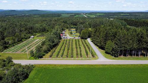 Photo aérienne - 110 1Er Rang, Saint-Romain, QC 