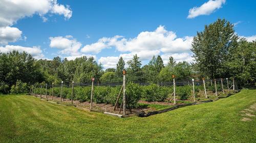 Terre/Terrain - 110 1Er Rang, Saint-Romain, QC 