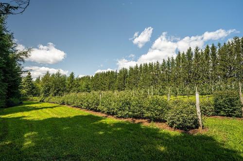 Terre/Terrain - 110 1Er Rang, Saint-Romain, QC 