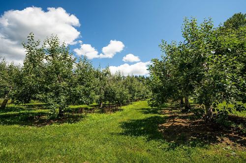 Terre/Terrain - 110 1Er Rang, Saint-Romain, QC 