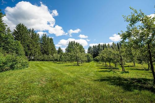 Terre/Terrain - 110 1Er Rang, Saint-Romain, QC 
