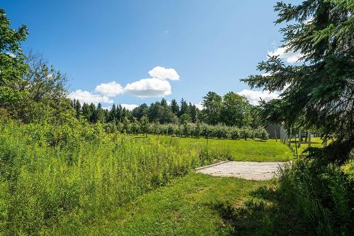 Terre/Terrain - 110 1Er Rang, Saint-Romain, QC 