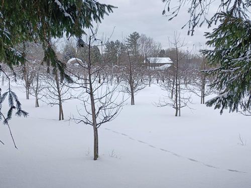 Terre/Terrain - 110 1Er Rang, Saint-Romain, QC 