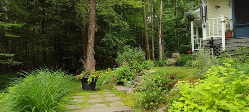 Extérieur - 257 Ch. De Bondville, Lac-Brome, QC - Outdoor