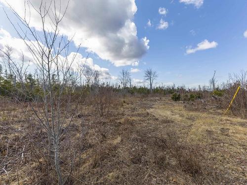 Lots Shore Road, Waterside, NS 